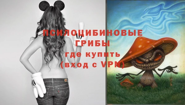 МДПВ Вязники